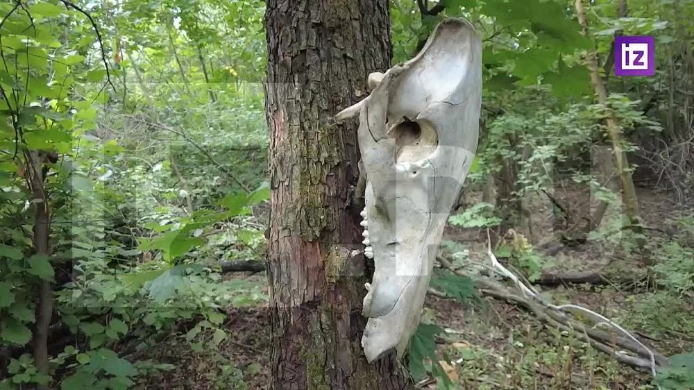 "Здесь очень серьезное подразделение, у которого есть внушительный арсенал под все виды задач для подразделения FPV"