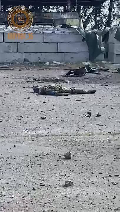 ������������ �������, ��� �����������