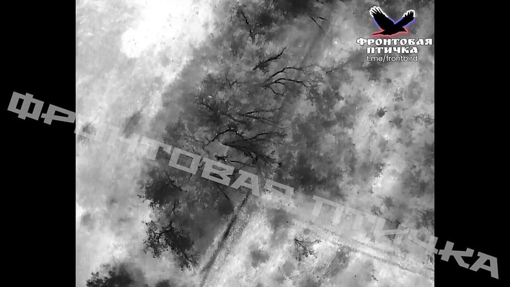 ����������� ���������� ��������� � ����������� �������