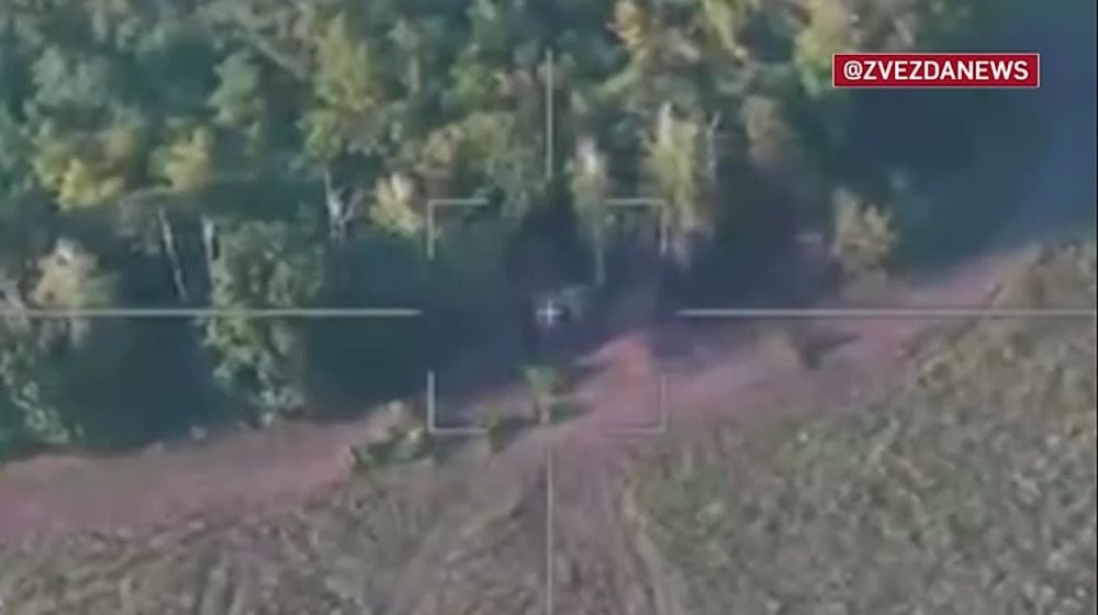 Zala � ������� ����� � ������ ������� ������������� ������������ �777 �� ���������� �����������