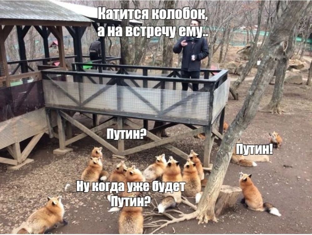 � ���o� ���o������ ����a���