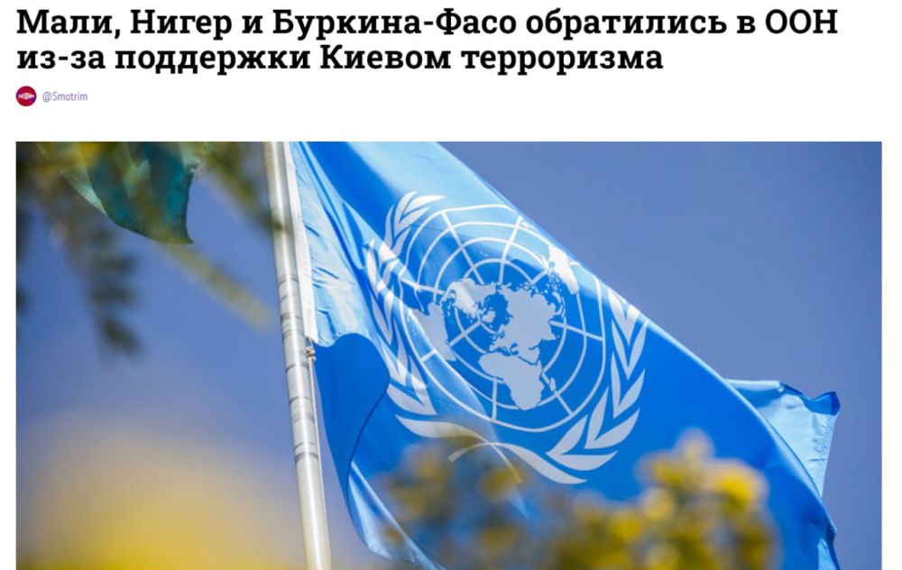 Три африканские страны призвали Совет Безопасности ООН принять меры против Украины из-за ее поддержки международного терроризма