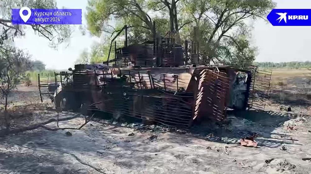 �������� �� ������� ������� �� �������� Kotsnews ��� ������� ������ � 810-� ��������� ����������� ��� � �����