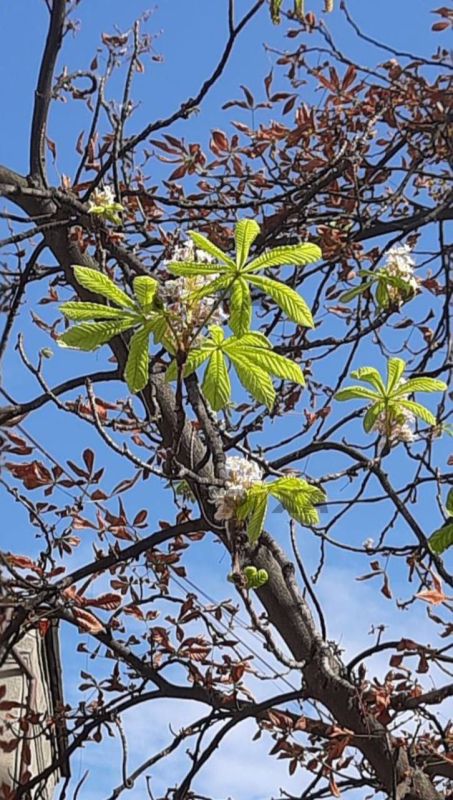 ��������.. � ���� ������������ �������� �� ���������� ����������� � ������ ������� �������. � ���� ����������� ����������...