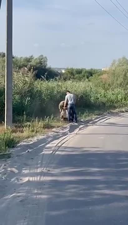 ��� � �������� �� ��������� ������: ����� �� ������ ������������, �������� ����