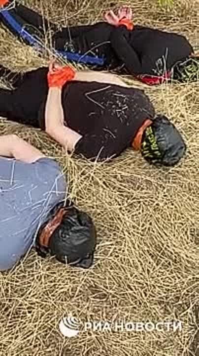 Группу диверсантов, планировавших взрыв на нефтехранилище, задержали в Курской области — РИА Новости со ссылкой на силовые структуры