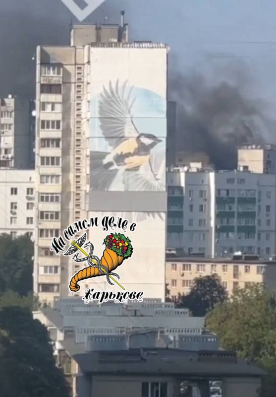 #НамПишут. "Ракеты ПВО были выпущены с аэродрома Харькова и потом полетели по домам"