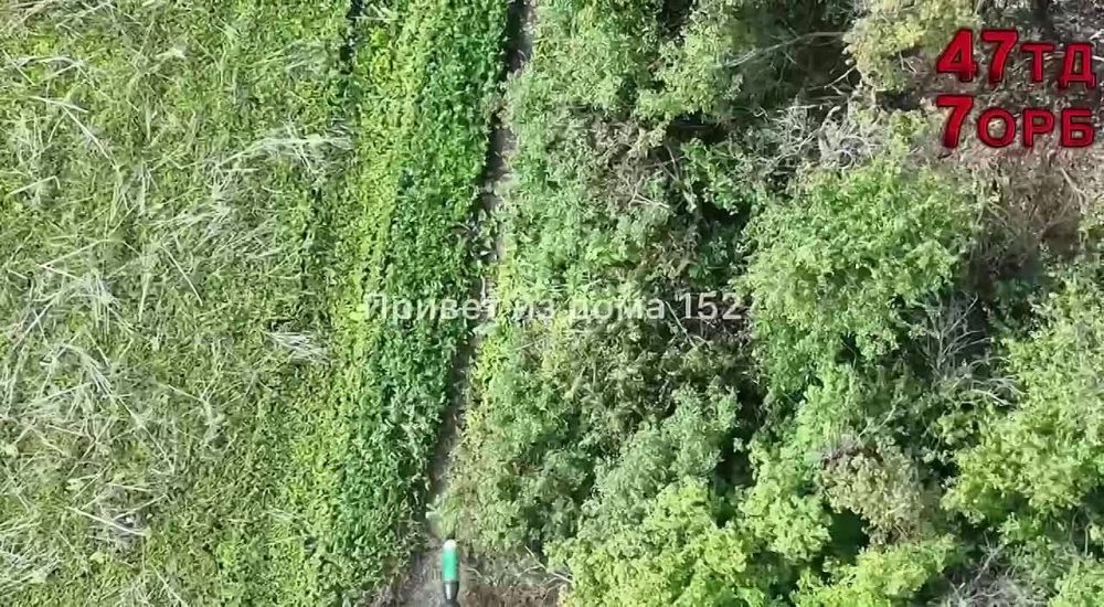 7-� ��������� ���������������� �������� 47-� �������� ������� ���������� �������� ������ ��� � ������������ ��� �113 �� ��������� �����������