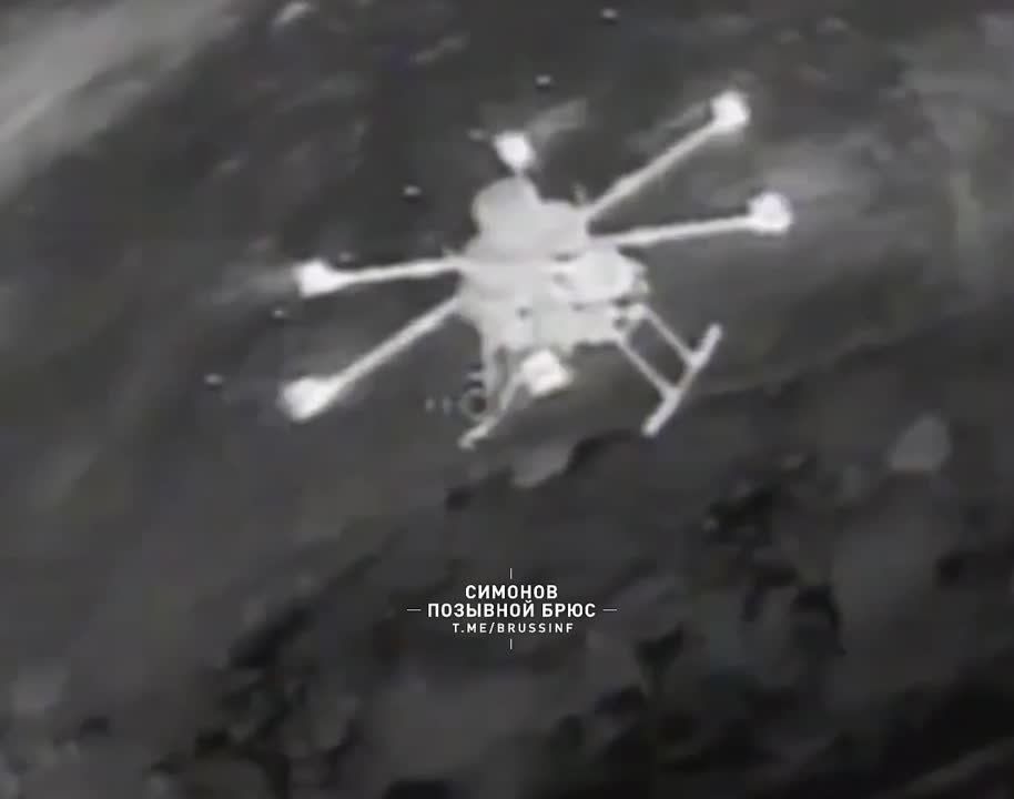 �������� �������� fpv-������ ���������� ������� ������� �� ��������� �����������