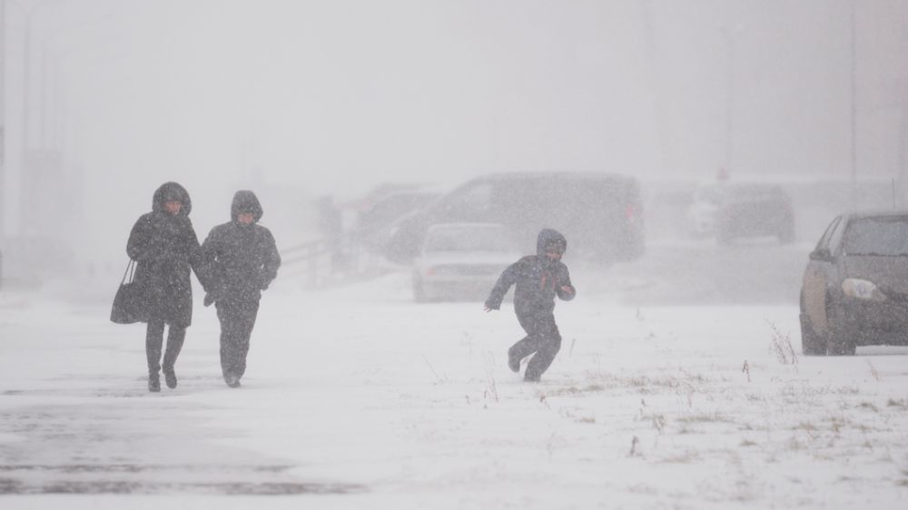 �� ������� ��������������� ����������� ������ ����