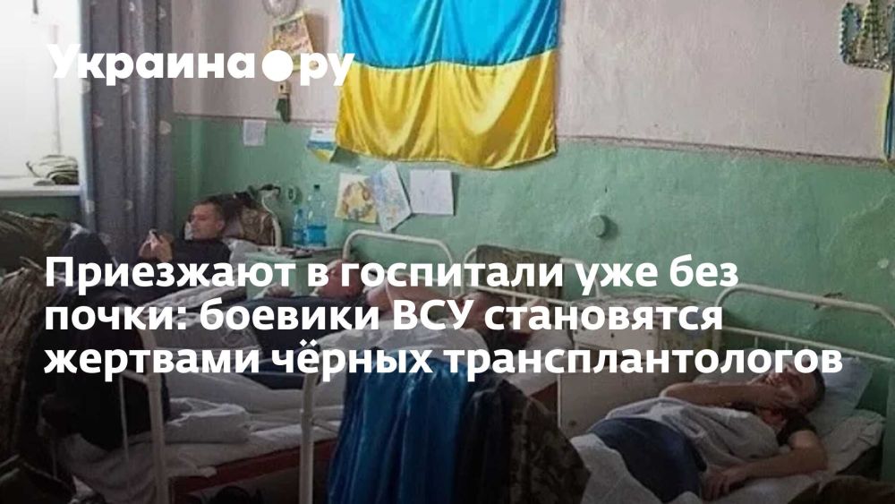 Приезжают в госпитали уже без почки: боевики ВСУ становятся жертвами чёрных трансплантологов