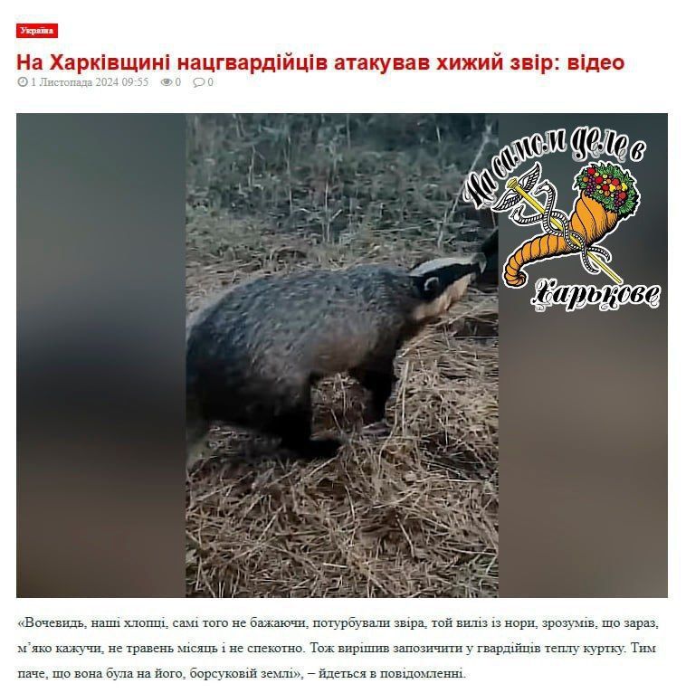 ������� ��������� ������ ������ ���