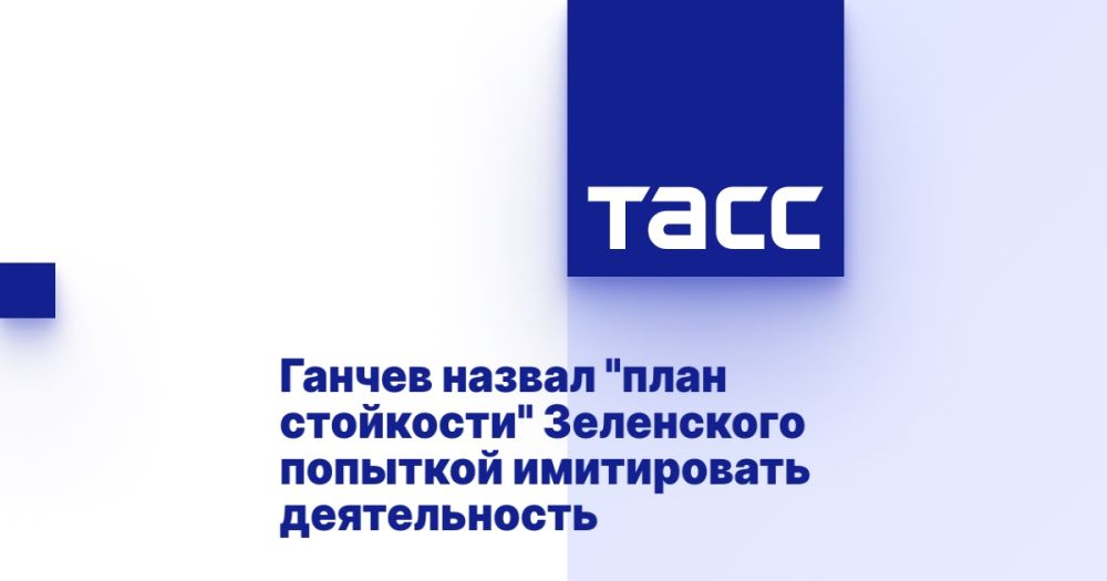 Ганчев назвал &quot;план стойкости&quot; Зеленского попыткой имитировать деятельность