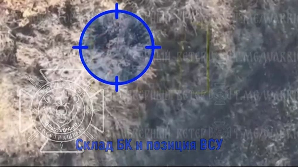 ���������� ������� ����� �� ��������� ������ FPV-�����