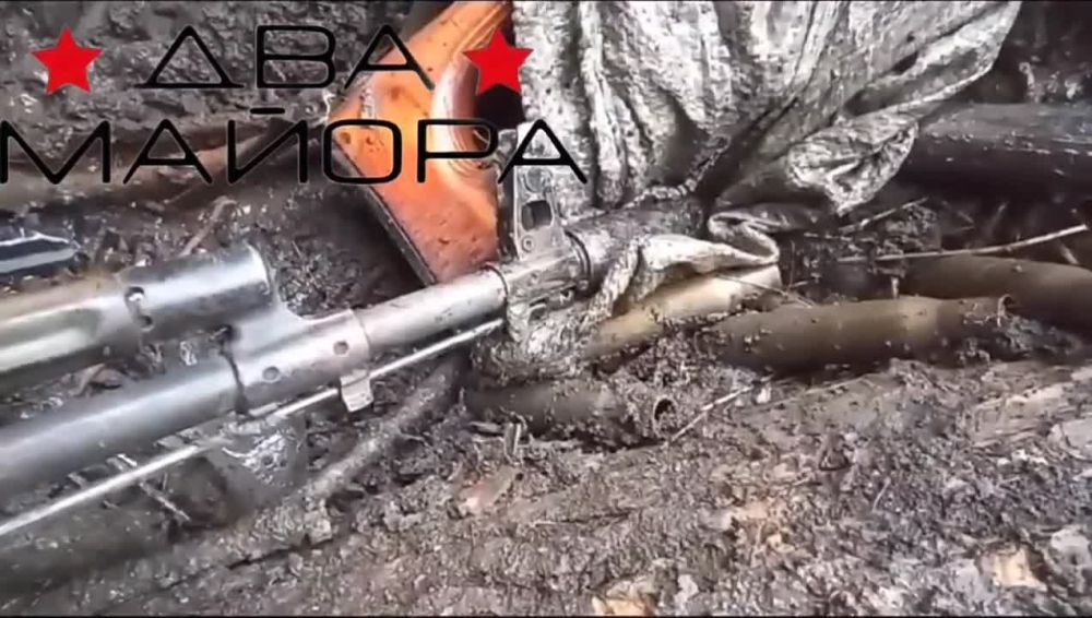 ��� ������: ����������� �����������. �� ����������� � ������ �������