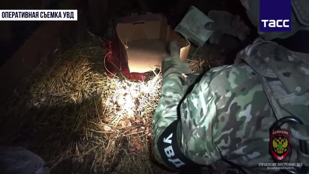 ��� ����������� ������� �������� ����� ������������ �� World Central Kitchen