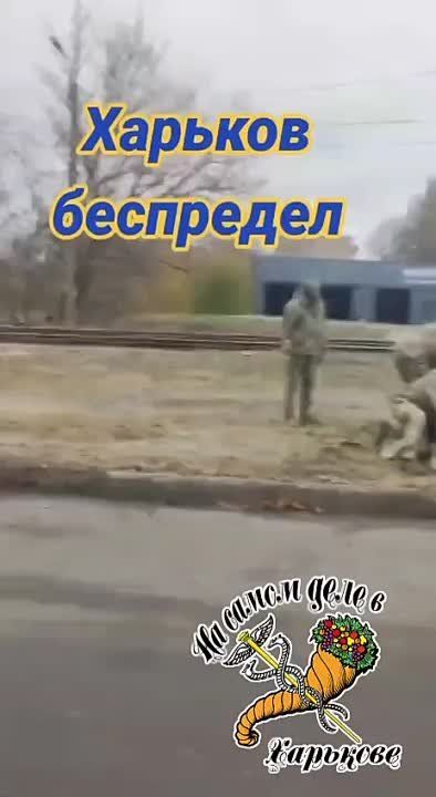 � �������� �������� ����� �������� ������������ ���������