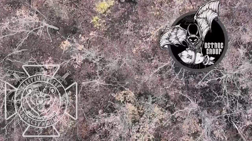 ���������� ������ �������� ������ ��������� ������� �� �� � ������ ������� ����� ����������� �������