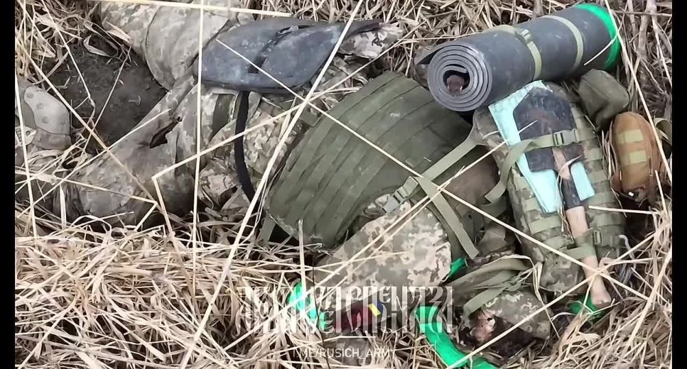 ������. ��� �� ��� ���� ����� ���� �������� ��������?