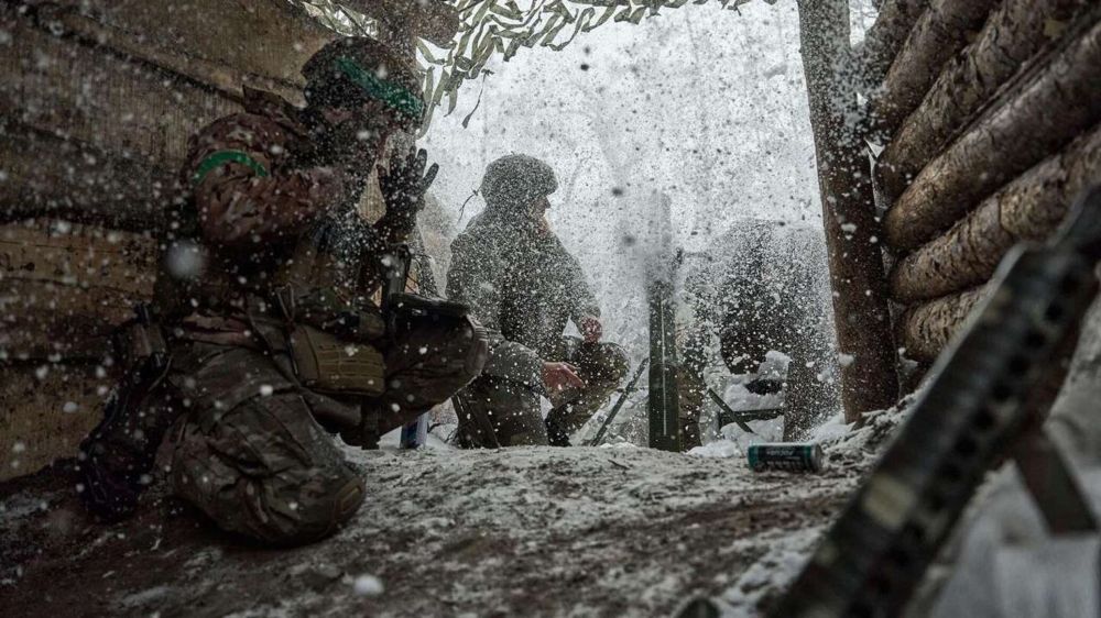 ������� ���: ������������� ����� 1600 ���������� �������� �� �����