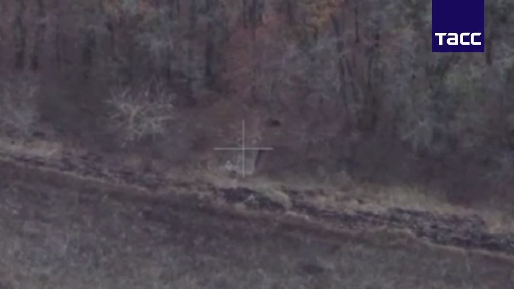 ���������� �������������� ��� ������ �����-��������� ���������� ��������������� ������� ����������� ������� ��� � ����������� �������