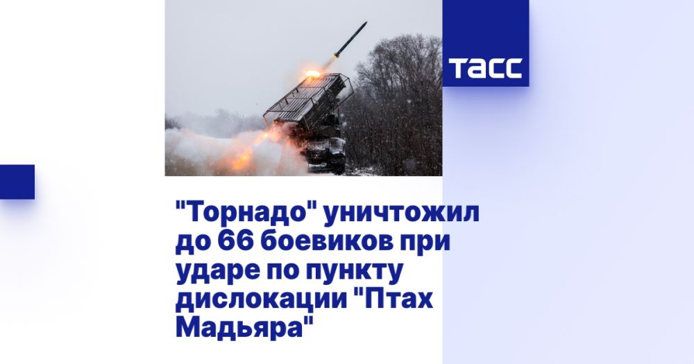 "Торнадо" уничтожил до 66 боевиков при ударе по пункту дислокации "Птах Мадьяра"