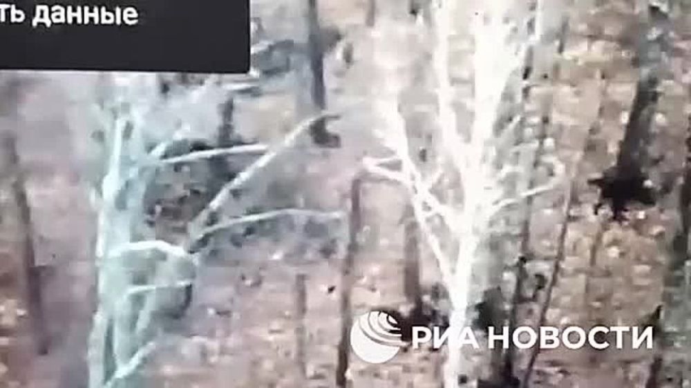 ���������� ������ ������������ ����� ����������� ���������������� � ���� � ����������� ������� ����������� ������� ������������� ��� ������ ���������� FPV-����� ����������� ����� ������