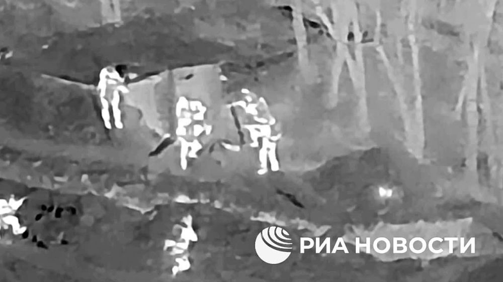 ����� ����� � ���� ���������� ����������� ����� ������ �� 1-� �������� �����