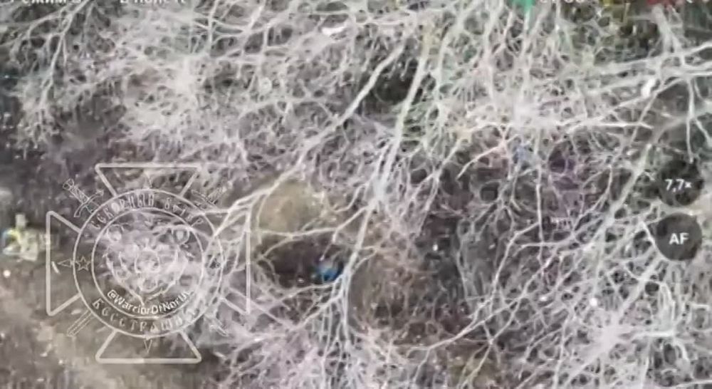 Бойцы группировки «Север» отразили массированную атаку ВСУ в Харьковской области