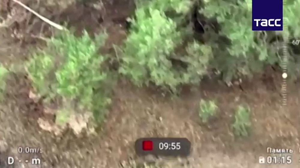 ����� �������� ����������� �� �� ���������� ��������������� ������� ����������� ��� � ����������� ������� ��� ������ FPV-�����