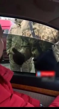  :            ,      