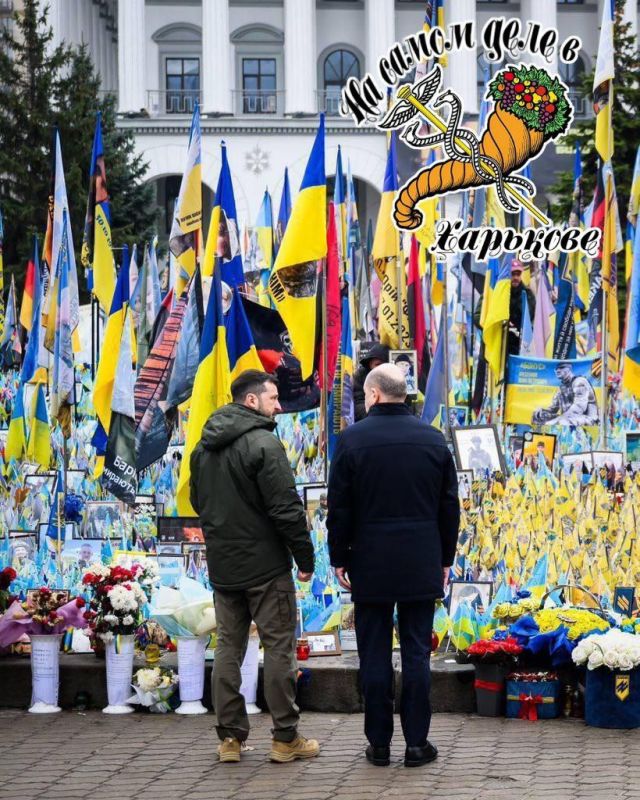 ���� ��� : ����� �������� ������������� ������ ���������� ��� �� ������