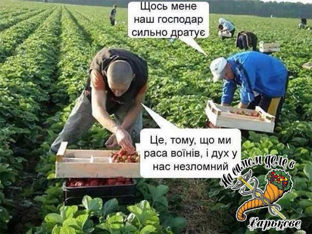 ���������� ����������� ������ ������� � ������