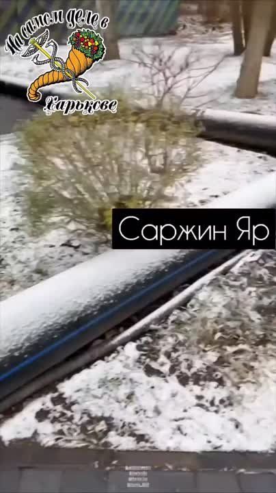 �������, ������ ��. �� ����� ������, �������� ������ � ���� �������