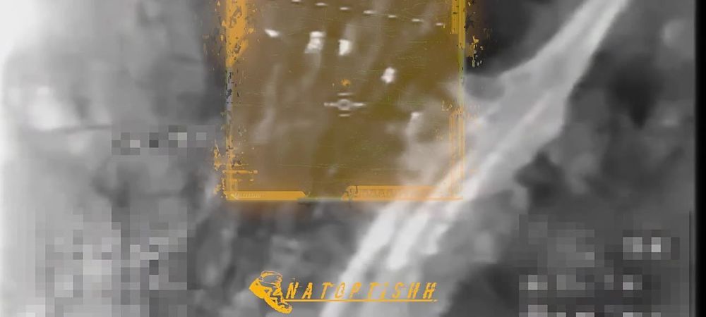 ����� �������� FPV 44 ���������� ������� ����������� "�����" ��������� ������ ���������� �������� � ������ �.�