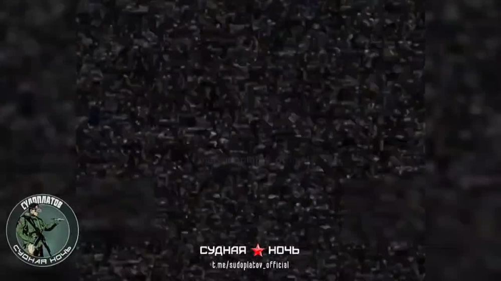 51��� ������ ��������� ���� "Vampire"