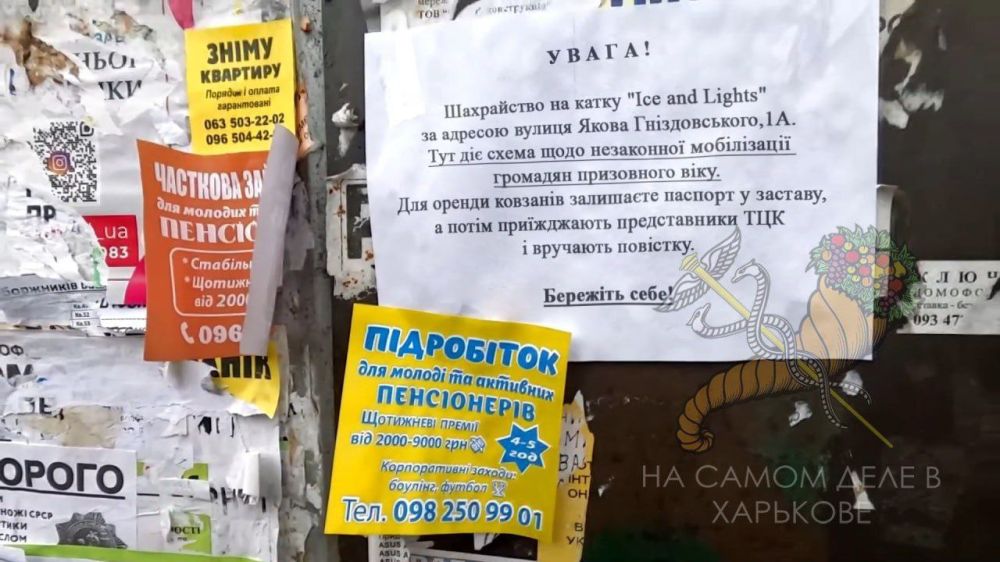 ����� ����� ������ ����������