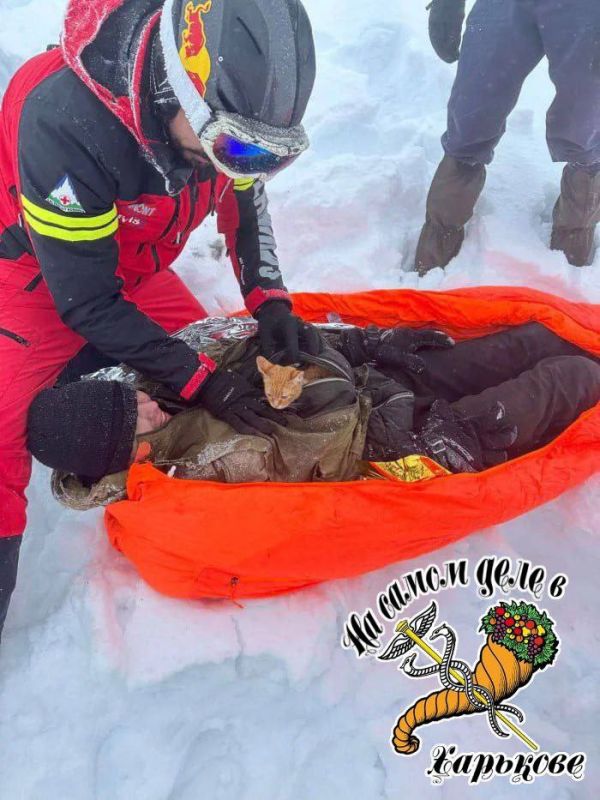 ����� ����� � �������� ������� � ������� ������ ������������ � ��������� �����