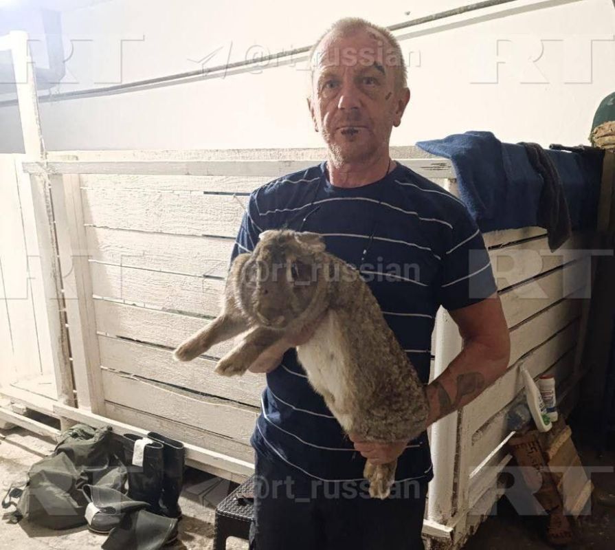 ����� � �������� �����������