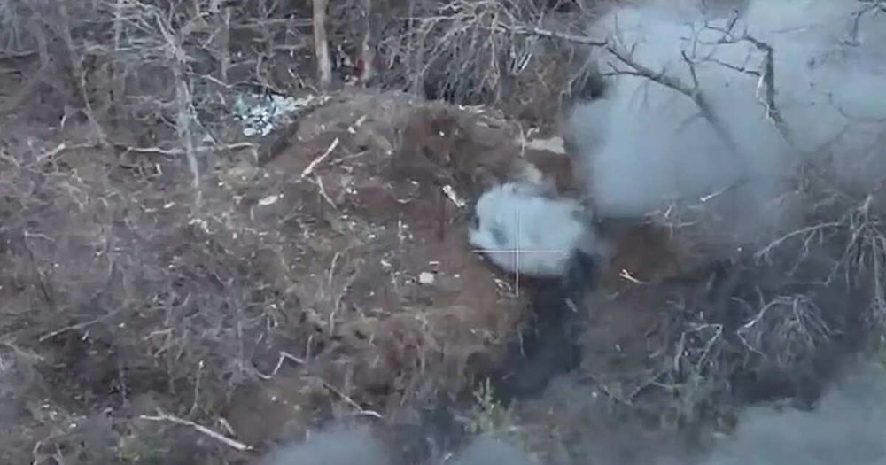 ����� ������ ������� ���������� ������� � ����� ��� � ����������� �������