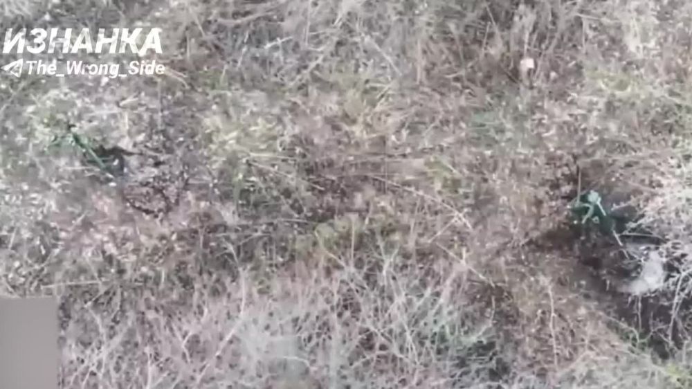 ��������� ������ (������ ��� ���������) ���������� � ����������� �������