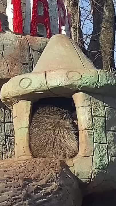 � �������� �� �������� � ���������� ����� ���� ���������� ����