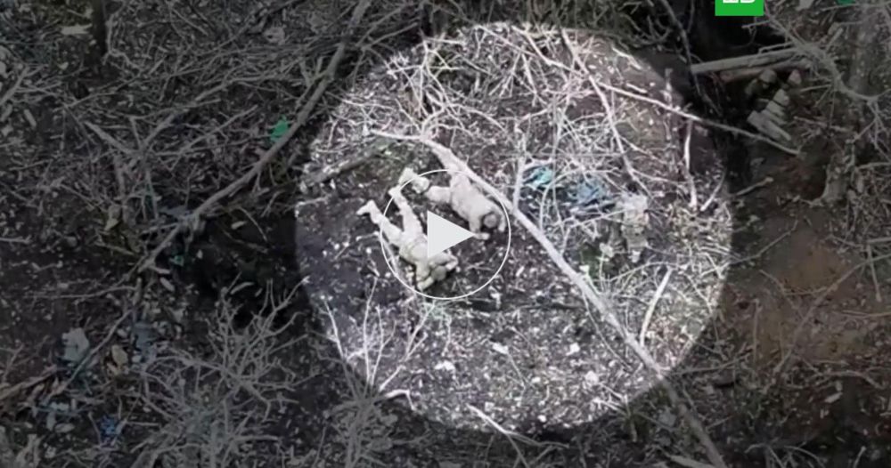 ���������� ��������� �������� ������ ��� �� ��������