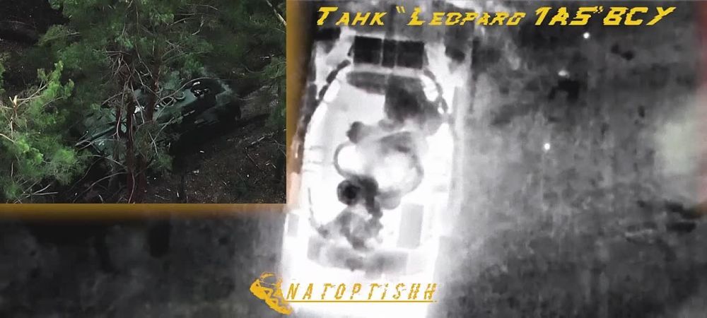 � ������ ���������� ����