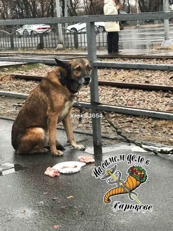 �����-�� ��������� ������� ������� ����������� ������� ����� ����� �� ��������