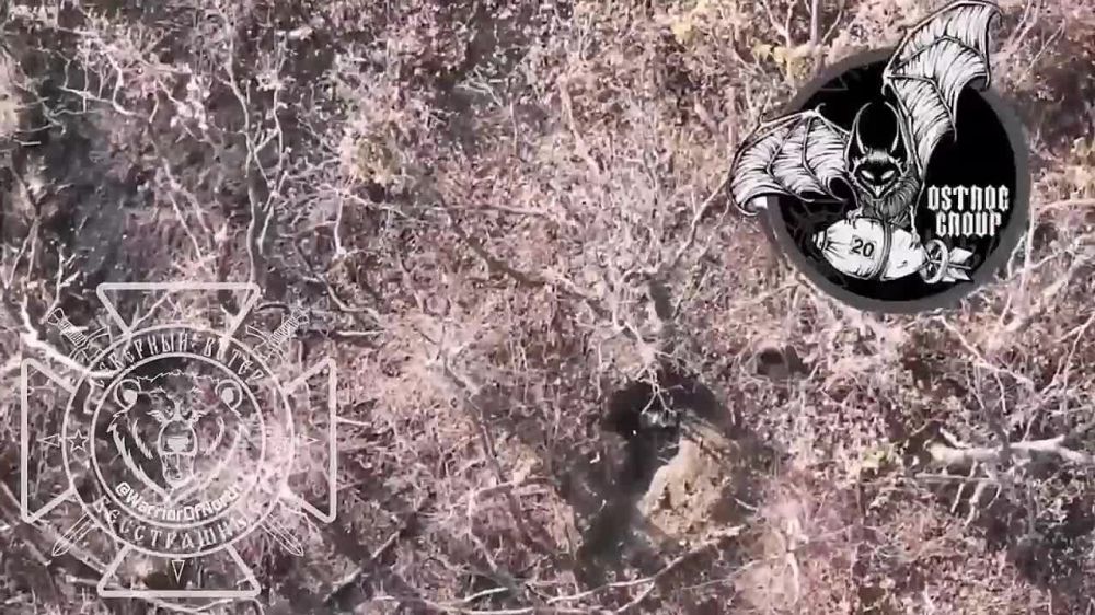 ������� �������� ��� � ����������� �������