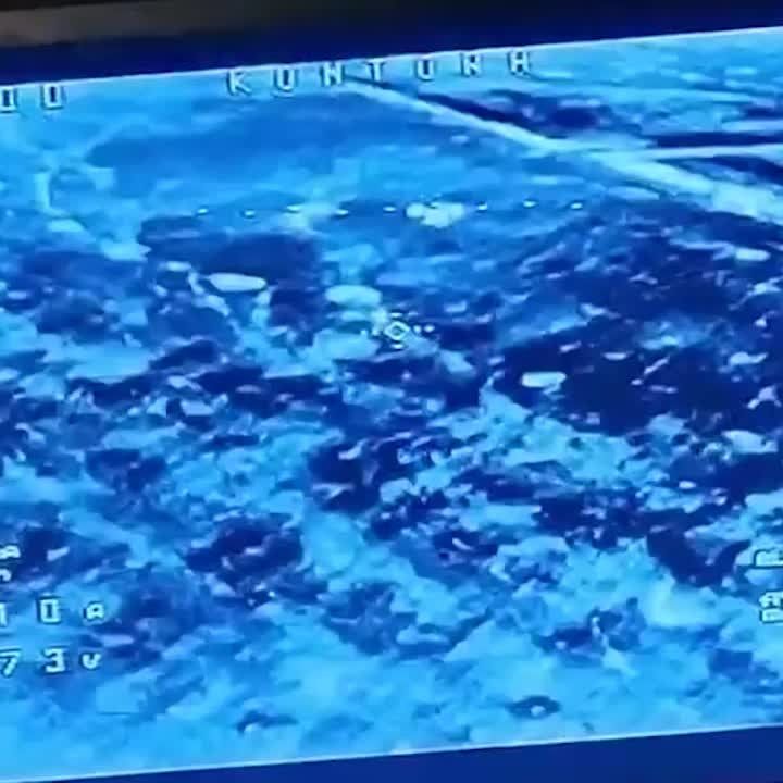 �� ��������� ����������� ������ ���� ����������� "����-���"