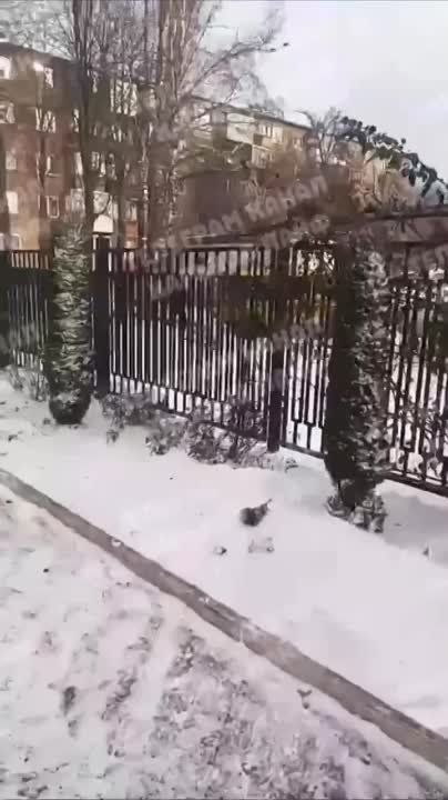 �� ����� ����, 102� ������� ���� ���� ������: ���������� ��� �������� ����, ���������� � ��������� ����� ������������