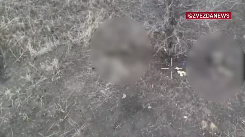 ���� � ������ �� ���������: ���� ����� ���������� ��������� ��������� � ����