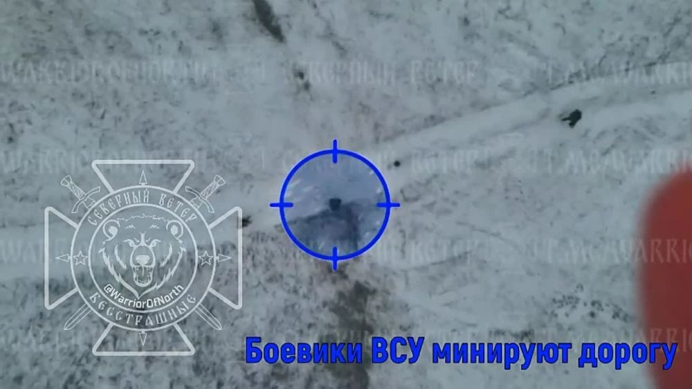 Расчет БпЛА группировки "Север" сорвал мероприятие ВСУ по минированию дороги в Харьковской области